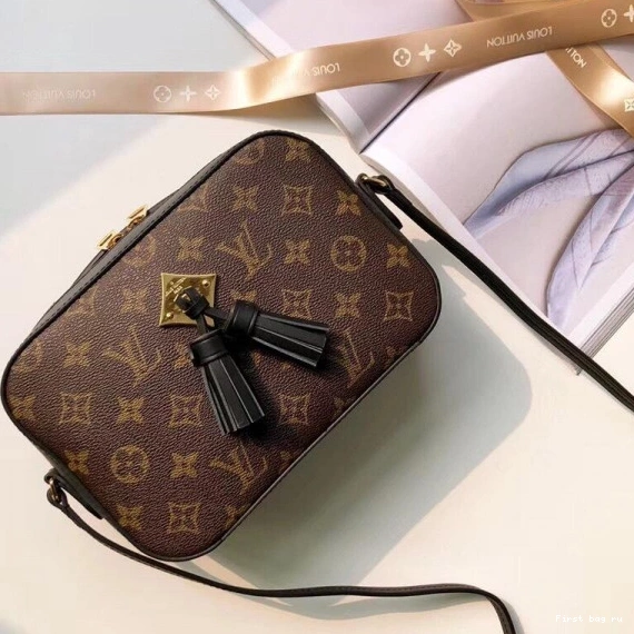 Frstbag ru SAINTONGE VUITTON LOUIS 0816